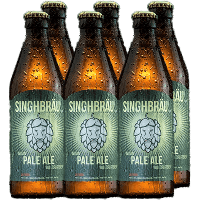 6x Indian Pale Ale
